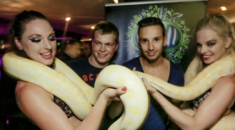 Slangen dans voor personeelsfeest