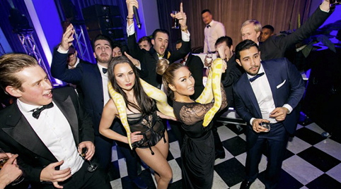 Slangenshow om uw medewerkers te entertainen