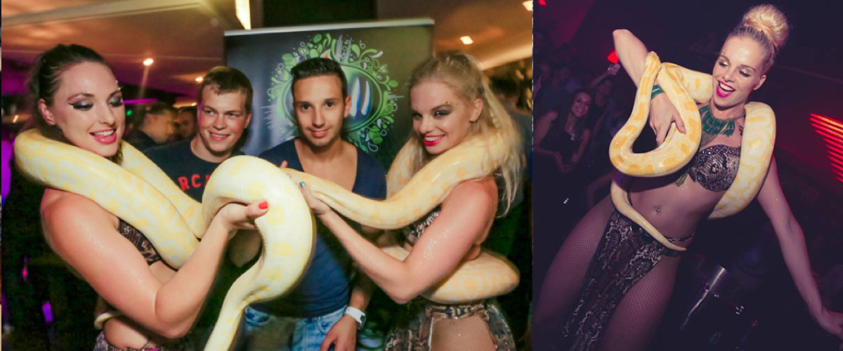 Meet & Greet met slangen