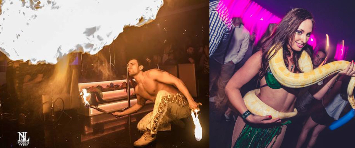 Slangendans voor weekend feest